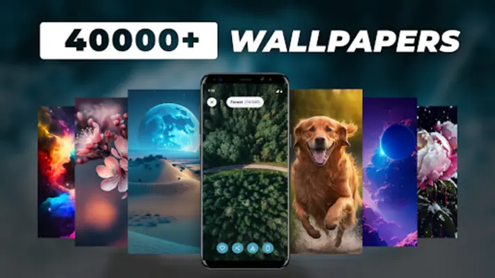 40000 Wallpapers & Backgrounds android App screenshot 12